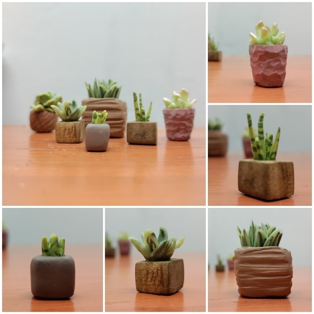 6 Polymer clay & tiger maple potted plants - Picture 3 of 11